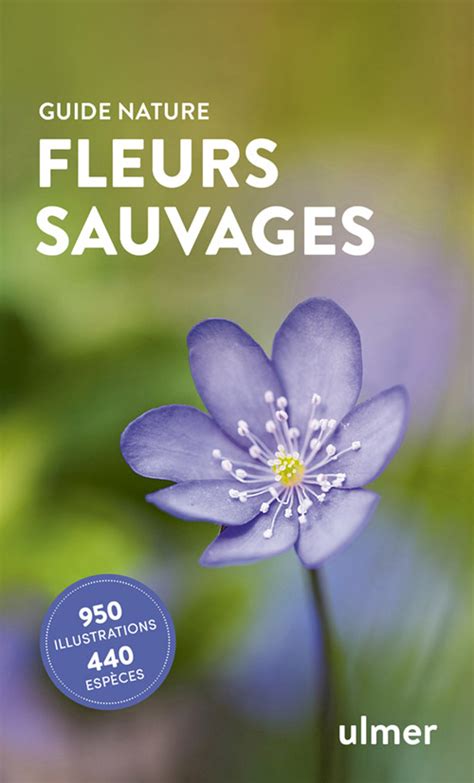 Fleurs Sauvages Tela Botanica