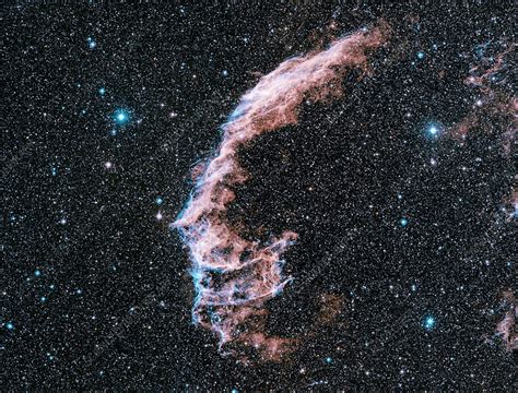 Veil nebula supernova remnant - Stock Image - R750/0141 - Science Photo ...