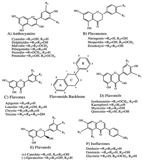 Common Structures Of Flavonoid Classes And Their Derivative Compounds