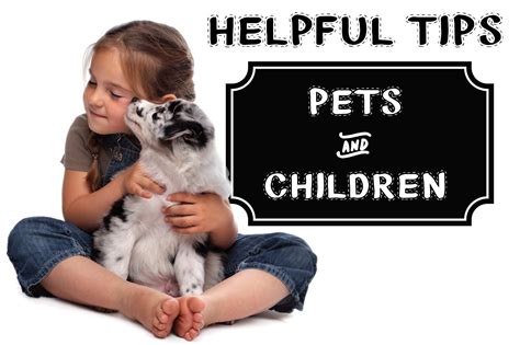 Helpful Tips Pets And Children Pets For Children