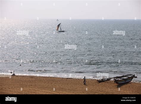 Sri Lanka Western Province Negombo Sun Beach Sea Traditional