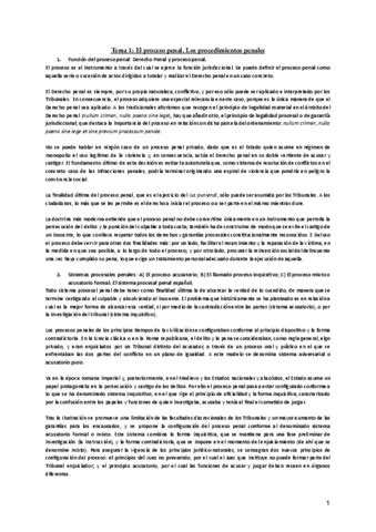 Derecho Procesal Penal Pdf