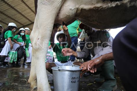 Wisata Edukasi Peternakan Antara Foto