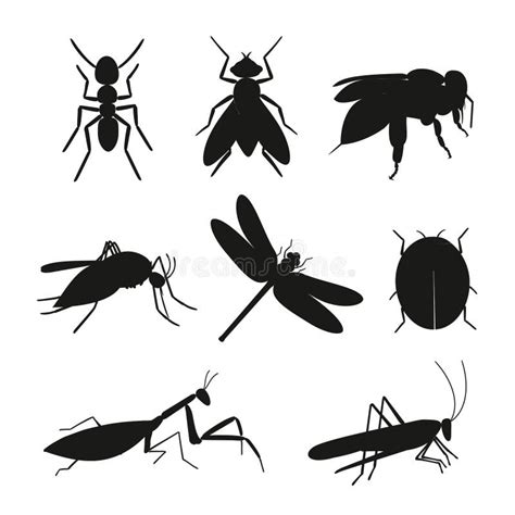 Sistema Del Vector De La Silueta De Los Insectos Ilustración del Vector