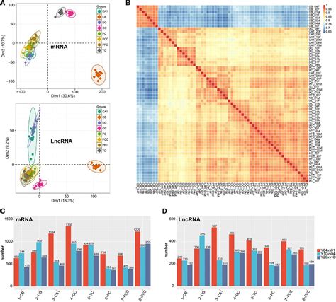 Annotation And Cluster Analysis Of Spatiotemporal And Sex Related