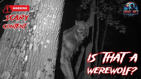 10 Real Werewolf Encounters Caught On Camera You Decide Youtube