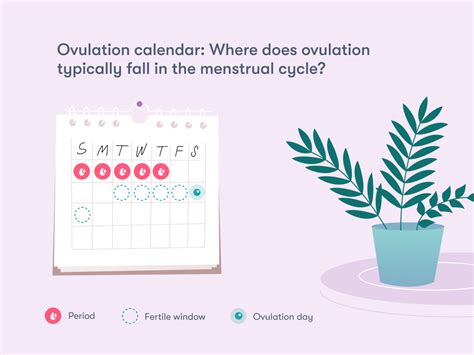 Ovulation calculator - Flo Health