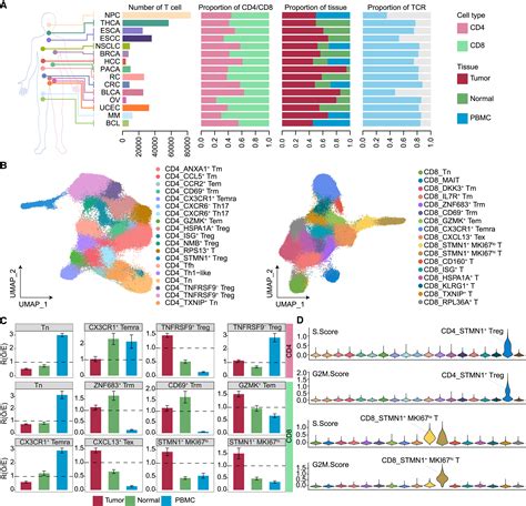 Identification Of Shared Characteristics In Tumor Infiltrating T Cells