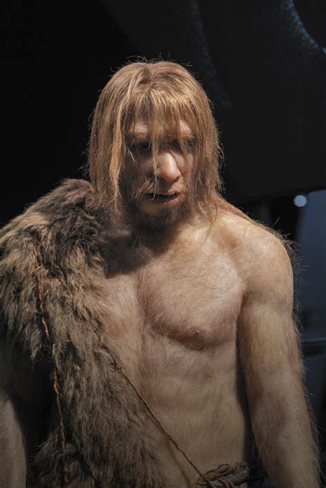 Los Neandertales Del Sidr N Asturias La Maleta