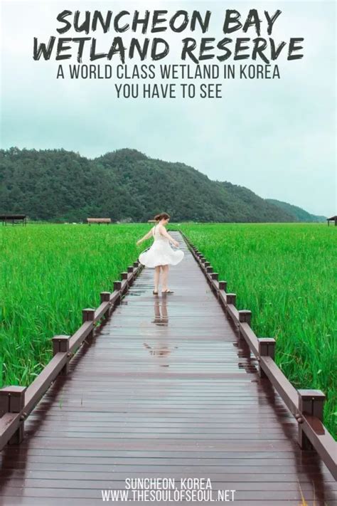 Suncheon Bay Wetland Reserve Where To Go In Jeollanam Do Artofit