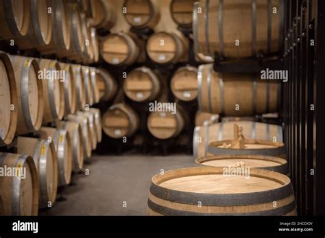 Wine Cellar Interior Background Wooden Barrel With Copy Space On Top