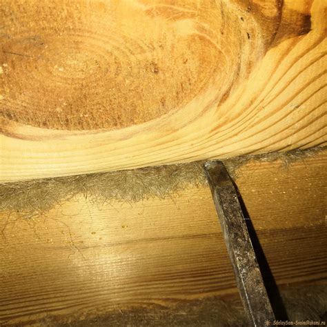 Как конопатить деревянный дом своими руками