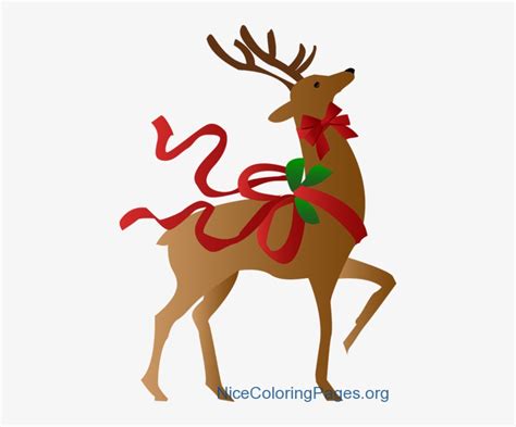 Free Christmas Reindeer Download Free Christmas Reindeer Png Images