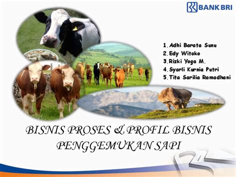 Ppt Profil Bisnis Penggemukan Sapi Fix