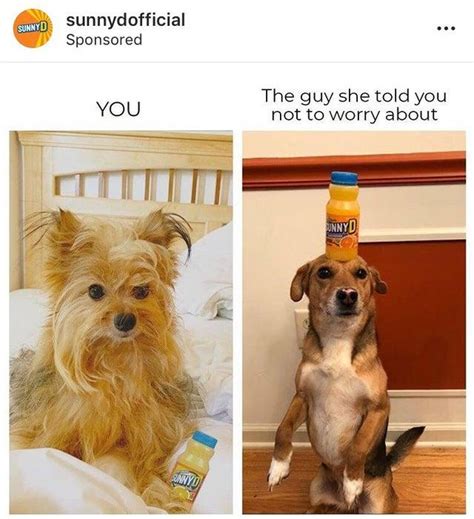 Sunnyd You Vs The Guy She Told You Not To Worry About Know Your Meme