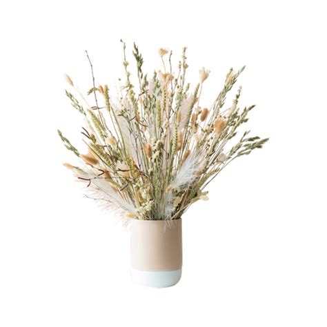 Droogbloemen Boeket Natural Beauty Deluxe