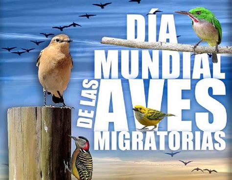 Con la consigna Noches oscuras migraciones seguras es el Día Mundial