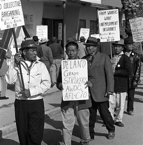 Workers United: The Delano Grape Strike and Boycott (U.S. National Park ...