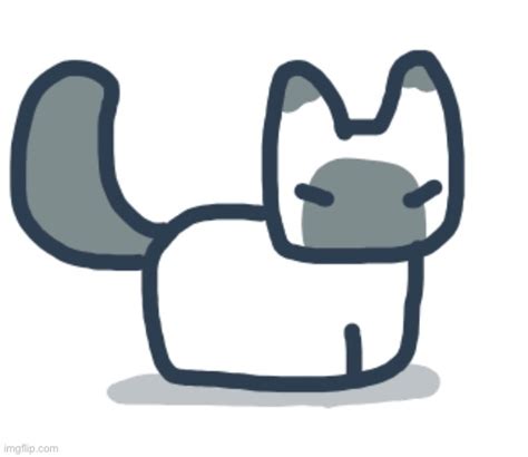 Cat Imgflip