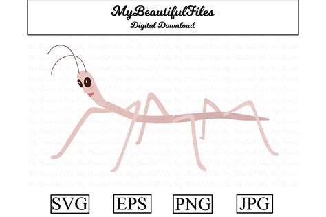 Stick Bug Clipart Design Graphic by MyBeautifulFiles · Creative Fabrica