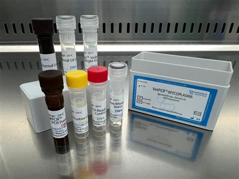 Mycoplasma Sp Detection Kits Pcr Kit