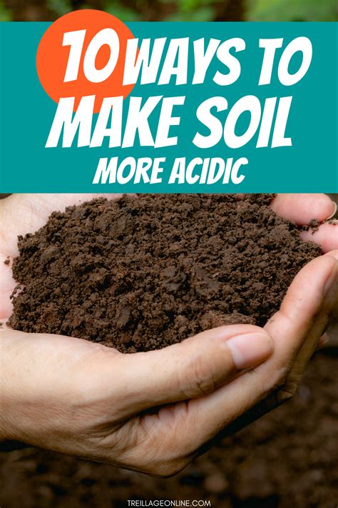 How To Make Soil More Acidic Methods Soil Texture Soil