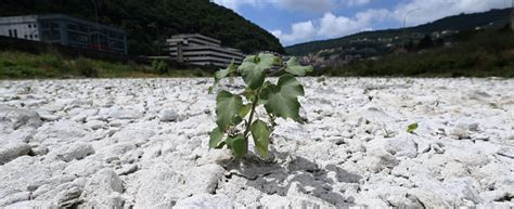 Via Libera Allo Stato Di Emergenza In Cinque Regioni Oltre 36 Milioni