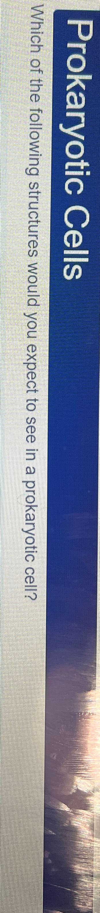 Solved Prokaryotic CellsWhich of the following structures | Chegg.com 