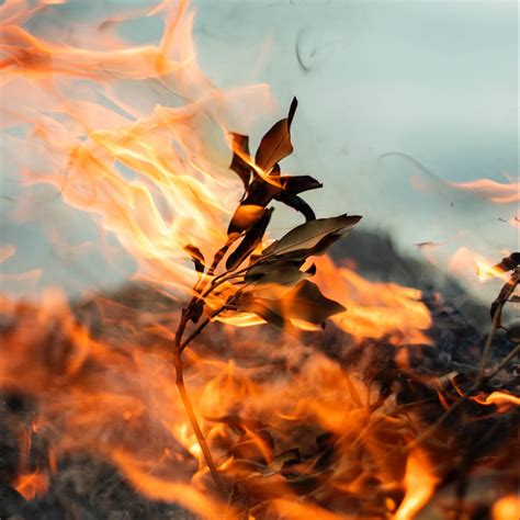 Extreme Heat Resilience Alliance: Reducing Extreme Heat Risk - Climate