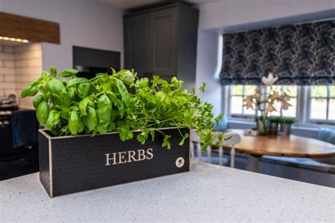 Reasons To Use A Herb Planter Chester Cooke