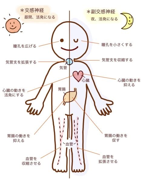 自律神経失調症と不眠の関係性と対象法を北九州市八幡西区の整体師が解説 八幡西区・折尾で口コミ1位の「たかお整骨院・整体院」