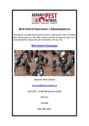 Bird Control Vancouver Advancepest Ca