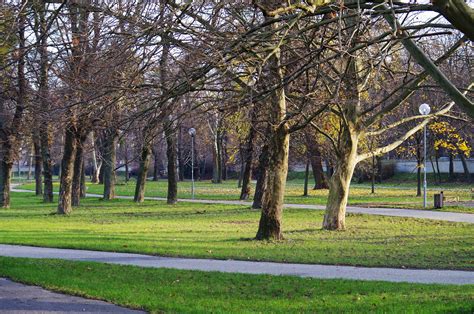 park autumn  photo  pixabay pixabay