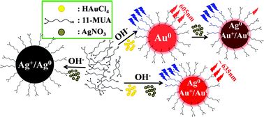 Synthesis Of Thiolated Ag Au Bimetallic Nanoclusters Exhibiting An Anti