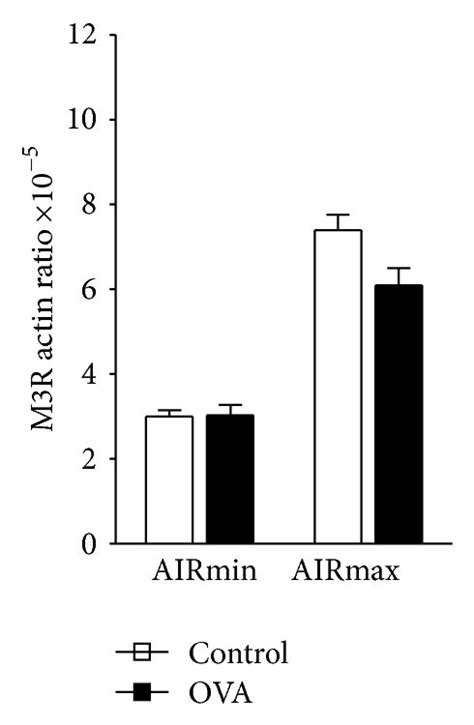 Pulmonary muscarinic receptors function and expression in allergic... | Download Scientific Diagram