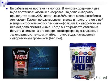 Презентация на тему: "Протеин Работу выполнили: Айсаханов Магомед ...