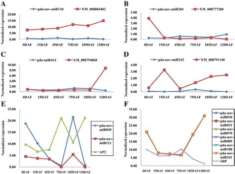 Expression Profiling Of Four Sugar Metabolism Related Target Genes And