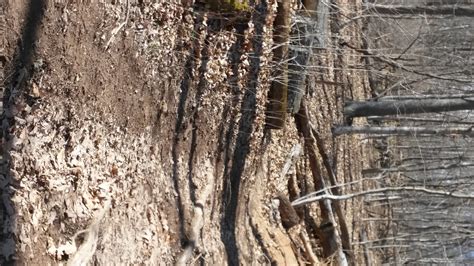 Naked Bavarian Mile Race Report Chasing K