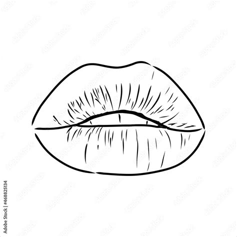 Sexy Plump Lips Kiss Pink Watercolor And Line Art Hand Drawn Vector