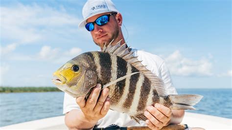 Sheepshead Fishing