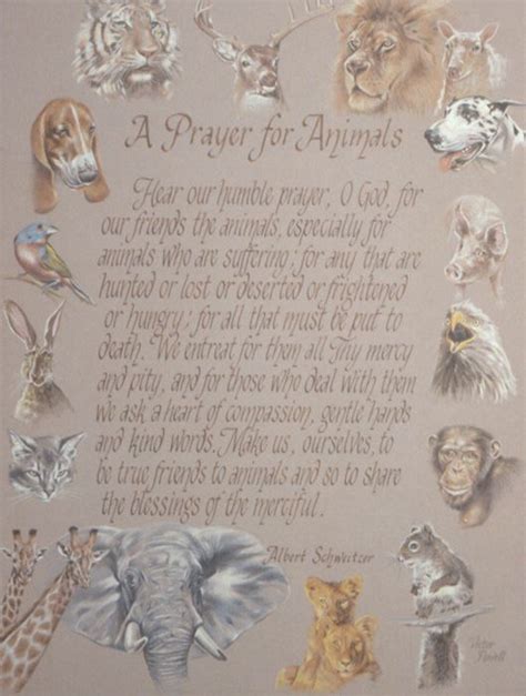 15 Best Prayers For Pets Images On Pinterest Animal Rescue Animal