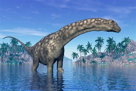 The 20 Biggest Dinosaurs And Prehistoric Reptiles