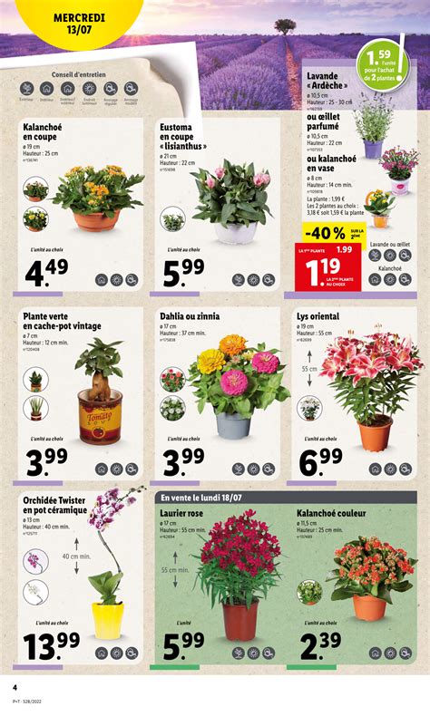 Lidl Arrivage Plantes Et Fleurs Catalogue De La Semaine Du 13 Juillet