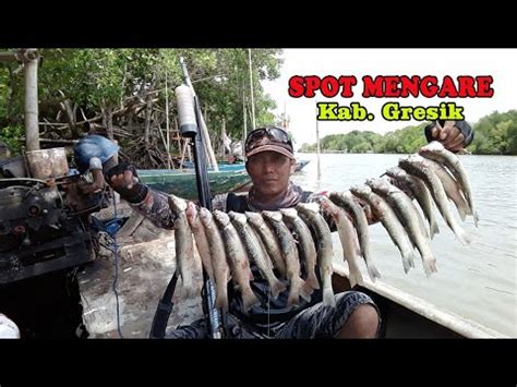 Paser Mania Spot Mengare Idaman Para Pemaser Ikan YouTube