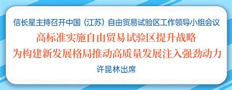 高标准实施自由贸易试验区提升战略 为构建新发展格局推动高质量发展注入强劲动力荔枝网新闻