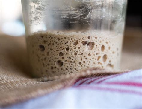 Managing Your Sourdough Starter S Fermentation For The Best Sourdough