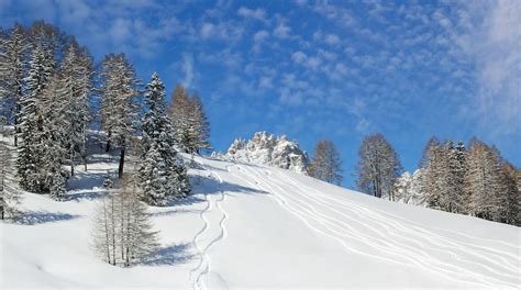 Visit Sesto Best Of Sesto Trentino Alto Adige Travel 2023 Expedia