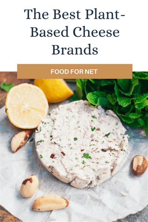 5 Best Plant-Based Cheese Brands | Food For Net