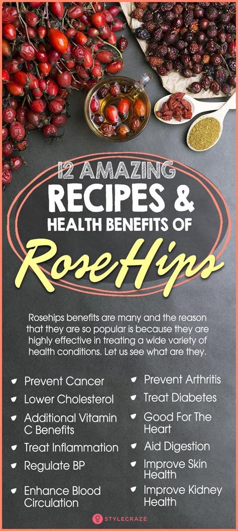 12 Amazing Health Benefits Of Rose Hips Health Benefits Of Carrots