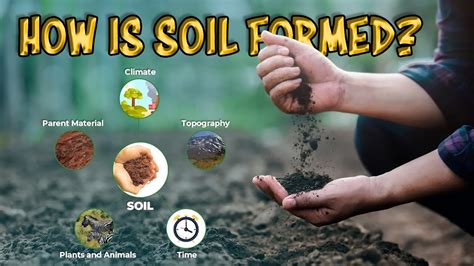 How Is SOIL Formed YouTube